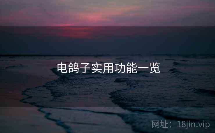 电鸽子实用功能一览