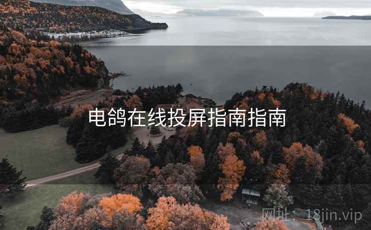 电鸽在线投屏指南指南 电鸽在线投屏指南指南