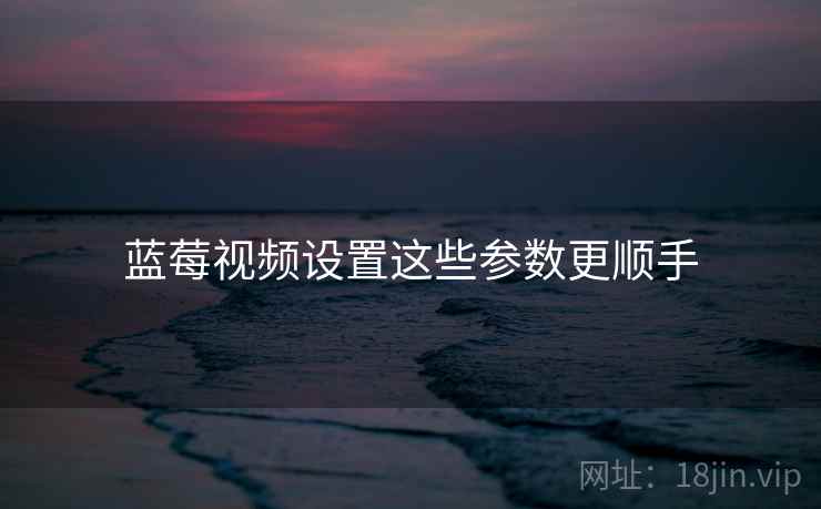 蓝莓视频设置这些参数更顺手