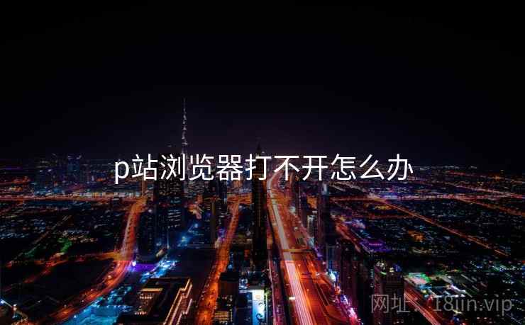 p站浏览器打不开怎么办