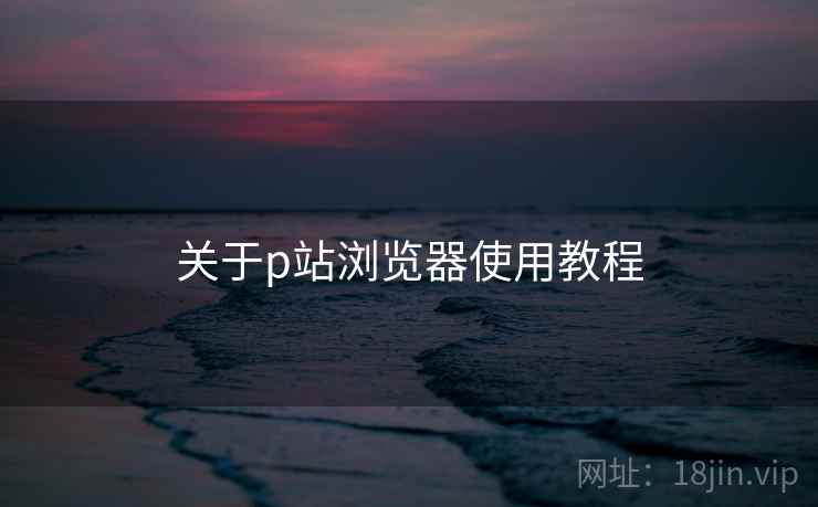 关于p站浏览器使用教程