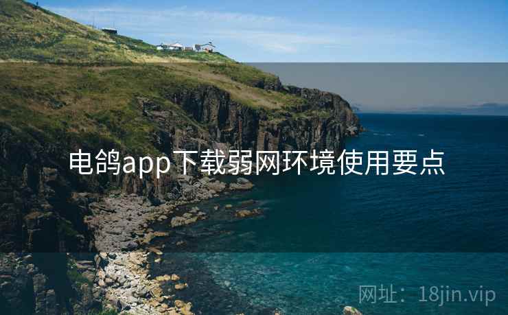 电鸽app下载弱网环境使用要点