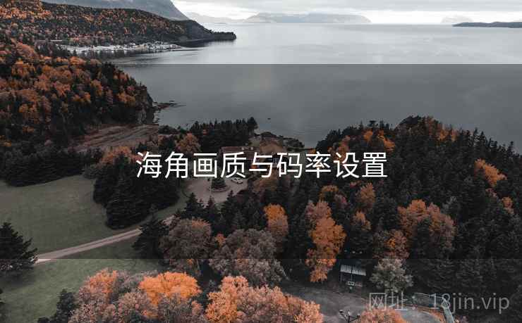 海角画质与码率设置