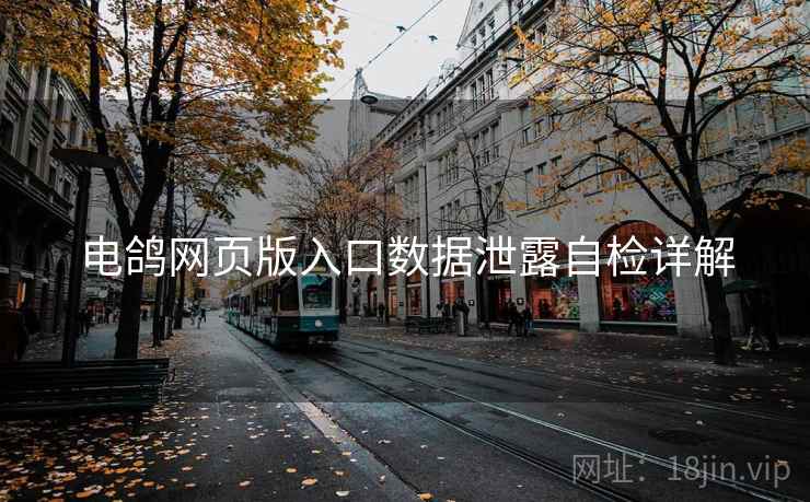 电鸽网页版入口数据泄露自检详解
