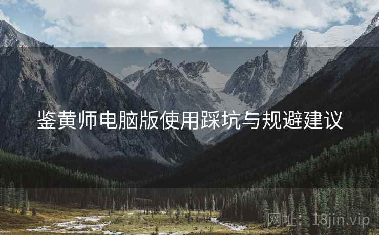 鉴黄师电脑版使用踩坑与规避建议