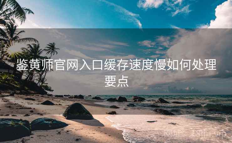 鉴黄师官网入口缓存速度慢如何处理要点